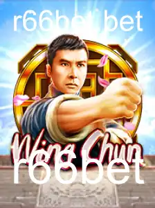 Descobrindo o Universo do Jogo WingChun: Regras e Introdução